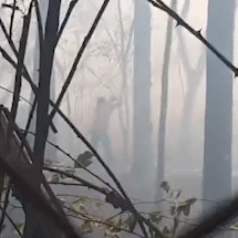 Inc&ecirc;ndio atinge cooperativa de recicl&aacute;veis e interrompe trabalho em Campo Grande