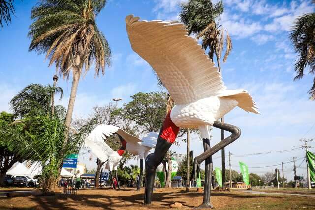 Ap&oacute;s mais de 1 ano, tuiui&uacute;s voltam a receber quem chega &agrave; Capital 