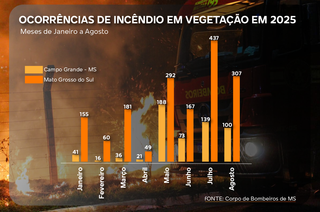 Inc&ecirc;ndios em MS aumentam e agosto atinge m&eacute;dia de 16 focos di&aacute;rios