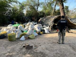 A&ccedil;&atilde;o contra &quot;rainha&quot; do narcotr&aacute;fico destr&oacute;i toneladas de maconha