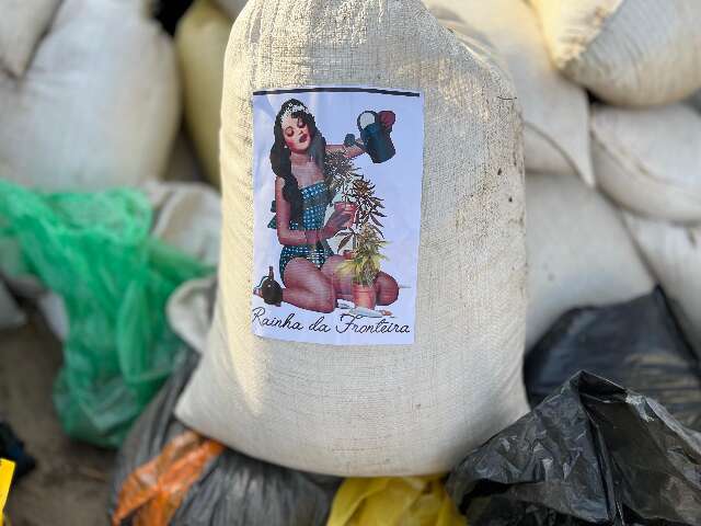 A&ccedil;&atilde;o contra &quot;rainha&quot; do narcotr&aacute;fico destr&oacute;i toneladas de maconha