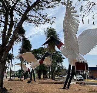 Campo Grande 126 anos: o cooperativismo que n&atilde;o para de crescer
