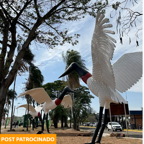 Campo Grande 126 anos: o cooperativismo que n&atilde;o para de crescer