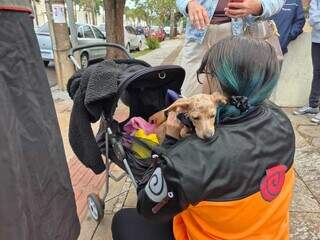 Protetoras protestam contra suspens&atilde;o de castra&ccedil;&otilde;es de animais resgatados