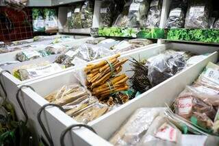 Ra&iacute;zes, ervas e &ldquo;seca-barriga&rdquo;: as promessas de tratamento no balc&atilde;o popular
