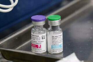 Estudo internacional coordenado no MS comprova efic&aacute;cia da vacina contra dengue