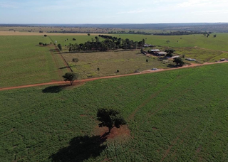 Seca deixa d&iacute;vida milion&aacute;ria no campo e agro recorre &agrave; Justi&ccedil;a para n&atilde;o falir
