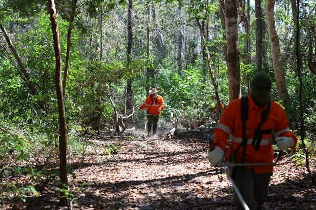 Parceria refor&ccedil;a combate ao fogo em 285 mil hectares do Pantanal