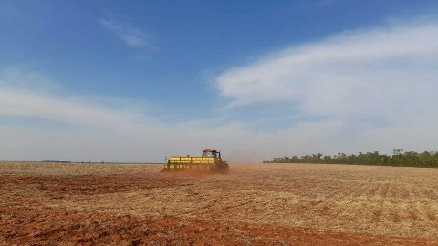 Plantio da soja come&ccedil;a em setembro sob previs&atilde;o de calor acima da m&eacute;dia