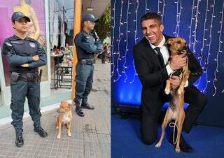 Caramelo é “recrutado” pela PM, vira soldado e participa de baile de gala Caramelo é “recrutado” pela PM, vira soldado e participa de baile de gala