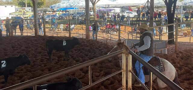 1&ordf; edi&ccedil;&atilde;o do Campeonato Evolution re&uacute;ne tamborzeiros, balizeiros e sortingueiros
