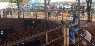 1&ordf; edi&ccedil;&atilde;o do Campeonato Evolution re&uacute;ne tamborzeiros, balizeiros e sortingueiros
