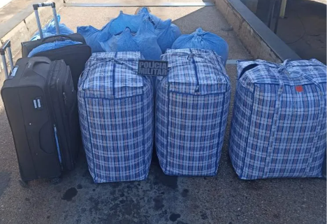 Sacos com 300 kg de folhas de coca s&atilde;o apreendidos em &ocirc;nibus interestadual