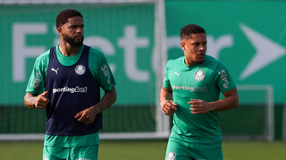 Botafogo e Palmeiras defendem vantagem para avan&ccedil;ar na Libertadores