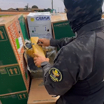 Dois s&atilde;o presos transportando 2,7 toneladas de maconha em carga de ovos