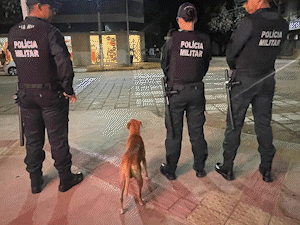 Caramelo &eacute; &ldquo;recrutado&rdquo; pela PM, vira soldado e participa de baile de gala