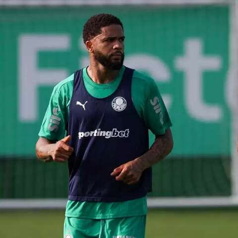 Botafogo e Palmeiras defendem vantagem para avan&ccedil;ar na Libertadores