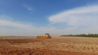 Plantio da soja começa em setembro sob previsão de calor acima da média Plantio da soja começa em setembro sob previsão de calor acima da média