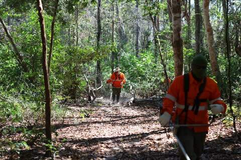 Parceria refor&ccedil;a combate ao fogo em 285 mil hectares do Pantanal