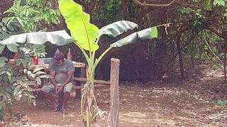 Preso de novo, homem &eacute; flagrado em abatedouro clandestino com 90 aves