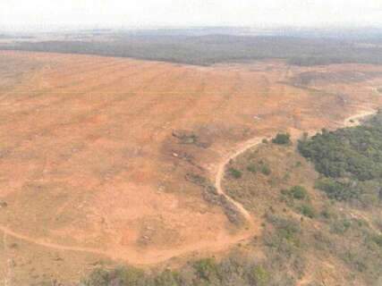 Inqu&eacute;ritos apuram queimada em 100 hectares sem autoriza&ccedil;&atilde;o ambiental