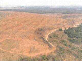 Inqu&eacute;ritos apuram queimada em 100 hectares sem autoriza&ccedil;&atilde;o ambiental