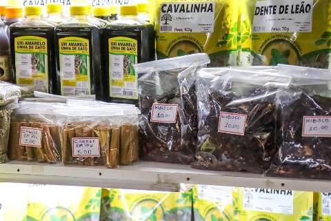 Natural, mas com riscos: guaco &eacute; abortivo e cavalinha vira perigo a hipertensos