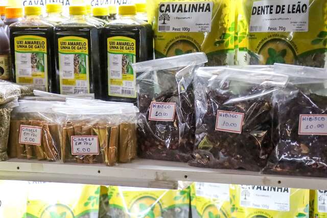 Natural, mas com riscos: guaco &eacute; abortivo e cavalinha vira perigo a hipertensos