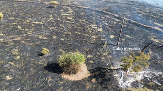 Cabo rompido pode ter iniciado inc&ecirc;ndio em vegeta&ccedil;&atilde;o de fazenda