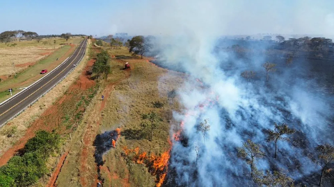 Cabo rompido pode ter iniciado inc&ecirc;ndio em vegeta&ccedil;&atilde;o de fazenda
