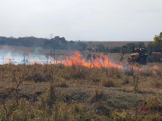 Cabo rompido pode ter iniciado inc&ecirc;ndio em vegeta&ccedil;&atilde;o de fazenda