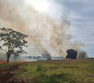Bombeiros utilizam avi&atilde;o para combater queimada no Itamarac&aacute;