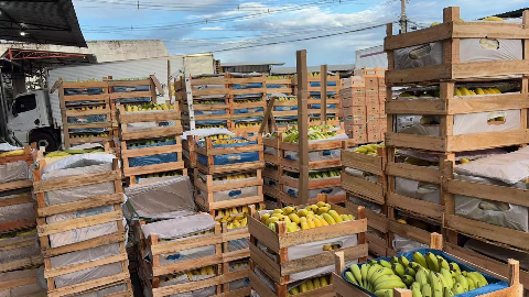 Qual vende mais? Veja quais frutas e hortali&ccedil;as mais sa&iacute;ram na Ceasa