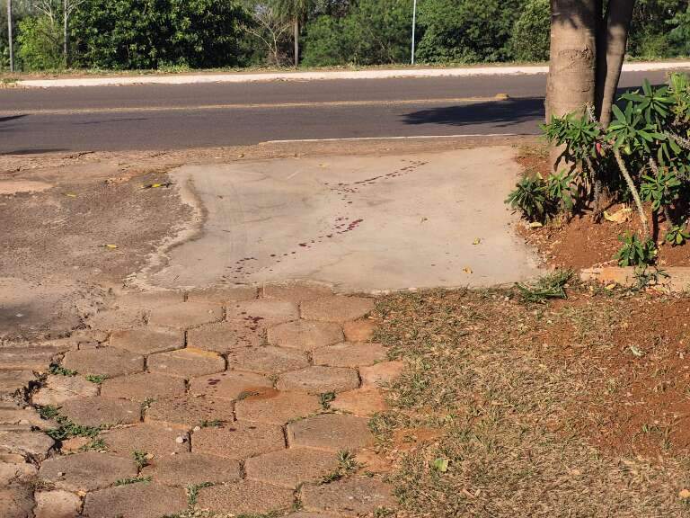 Campo Grande News