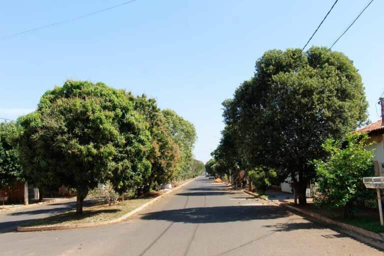 Campo Grande News