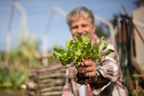 Com AgroAmigo, agricultores familiares do MS ter&atilde;o acesso a microcr&eacute;dito