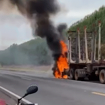 Carreta carregada de eucalipto pega fogo na rodovia