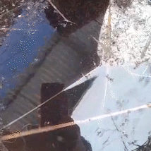 Esgoto aberto com larvas da dengue &eacute; encontrado em transportadora da Capital