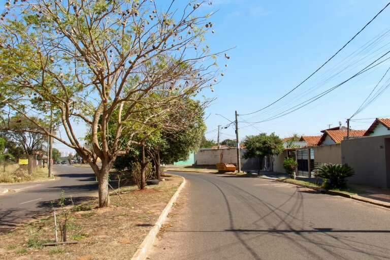 Campo Grande News