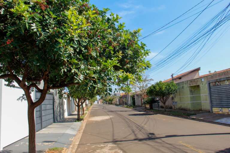 Campo Grande News