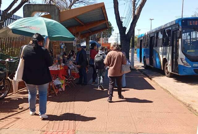 Agosto est&aacute; mais frio do que em anos anteriores e teve at&eacute; forma&ccedil;&atilde;o de geada