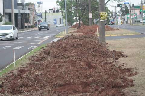 Em compensa&ccedil;&atilde;o por obra, Avenida Mato Grosso ter&aacute; ciclovia de 1,4 km 