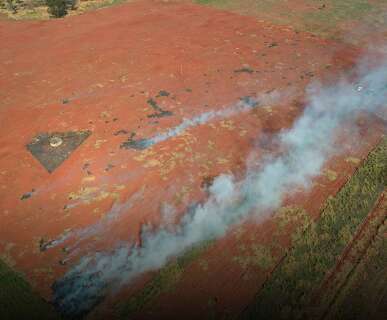 Inc&ecirc;ndio em canavial atinge &aacute;rea florestal e gera multa de R$ 300 mil