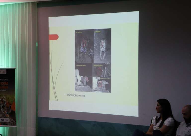 Imagens do evento Workshop Conflito com Grandes Felinos (Foto: Osmar Veiga)