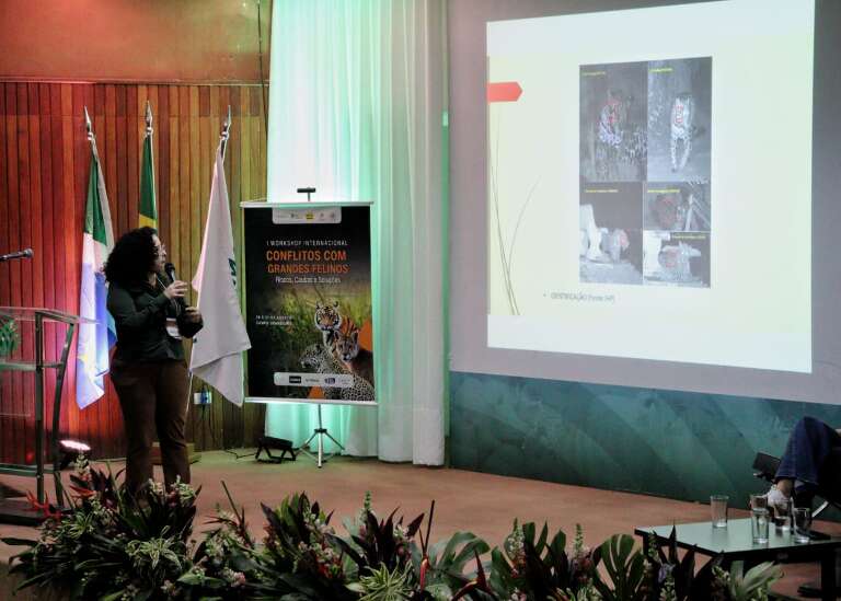 Imagens do evento Workshop Conflito com Grandes Felinos (Foto: Osmar Veiga)
