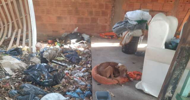 Homem &eacute; preso por deixar pit bull sem &aacute;gua, comida e abrigo 