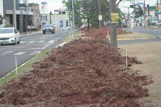Em compensa&ccedil;&atilde;o por obra, Avenida Mato Grosso ter&aacute; ciclovia de 1,4 quil&ocirc;metro