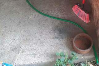 Homem &eacute; preso por deixar pitbull sem &aacute;gua, comida e abrigo 