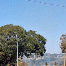 Ap&oacute;s den&uacute;ncia em reportagem, avi&atilde;o dos bombeiros apaga inc&ecirc;ndio em bairro