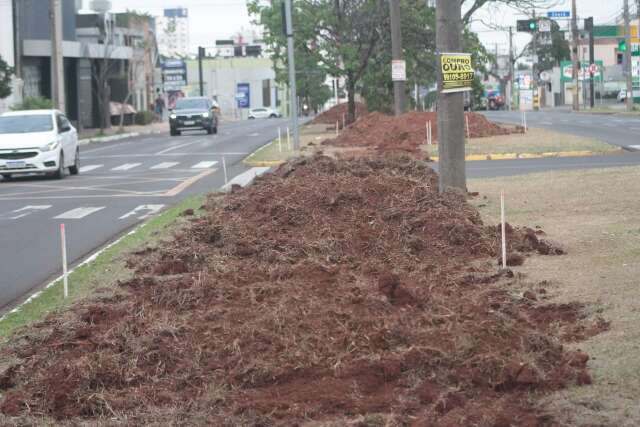 Em compensa&ccedil;&atilde;o por obra, Avenida Mato Grosso ter&aacute; ciclovia de 1,4 quil&ocirc;metro